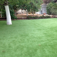 Grass Turf Oxnard Shores, California Lawn And Garden, Backyard Garden Ideas