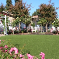 Grass Turf Pico Rivera, California Home And Garden, Front Yard Landscaping