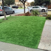 Grass Turf Shafter, California City Landscape, Front Yard Design