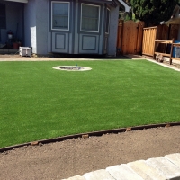 Grass Turf Weedpatch, California Landscaping Business, Landscaping Ideas For Front Yard