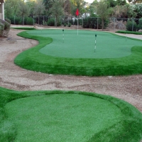 Grass Turf Woodland Hills, California Putting Green Carpet, Backyard Designs