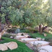 Green Lawn Chino, California Design Ideas, Beautiful Backyards