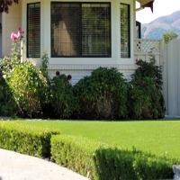 Green Lawn Lynwood, California Home And Garden, Front Yard Design