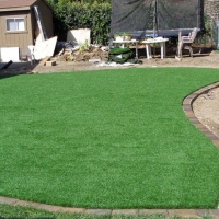 Green Lawn Nipomo, California City Landscape, Backyard Landscaping Ideas