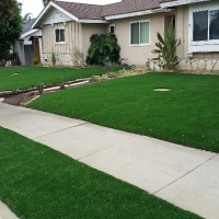 Outdoor Carpet Fillmore, California Landscape Design, Front Yard