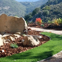 Outdoor Carpet Highgrove, California Roof Top, Front Yard