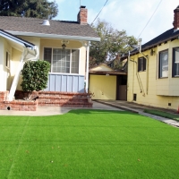 Outdoor Carpet Santa Ana, California Lawns, Front Yard