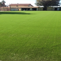 Plastic Grass Bear Valley Springs, California Lawn And Landscape, Recreational Areas