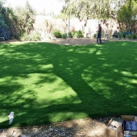 Plastic Grass Carpinteria, California City Landscape, Backyard Landscaping