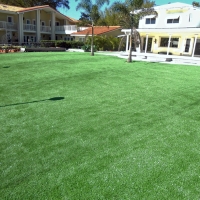 Plastic Grass Chino Hills, California Lawn And Garden, Commercial Landscape