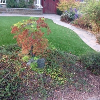 Plastic Grass Cypress, California Landscaping, Front Yard Design