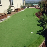 Plastic Grass Foothill Ranch, California Backyard Putting Green, Backyard Garden Ideas