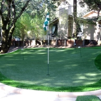 Plastic Grass Idlewild, California Lawn And Garden, Backyard Makeover