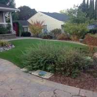 Plastic Grass South El Monte, California Lawns, Front Yard Landscaping Ideas