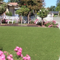 Plastic Grass Universal City, California Rooftop, Front Yard