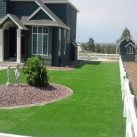 Plastic Grass Wasco, California Lawns, Landscaping Ideas For Front Yard