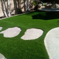 Synthetic Grass Cost Irvine, California Design Ideas, Pavers