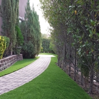 Synthetic Grass Cost Santa Maria, California Lawns, Front Yard Design