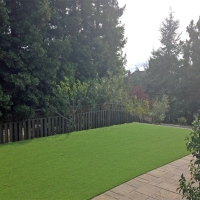 Synthetic Grass Frazier Park, California Lawns, Backyard Designs