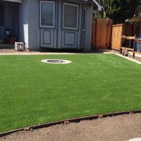 Synthetic Grass Oxnard Shores, California City Landscape, Small Backyard Ideas