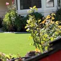 Synthetic Grass San Fernando, California Backyard Playground, Front Yard Landscaping