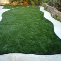 Synthetic Lawn Nuevo, California Landscaping Business, Backyard Ideas