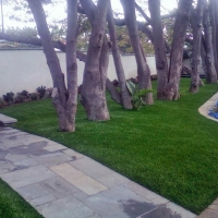 Synthetic Lawn Port Hueneme, California Lawn And Landscape, Front Yard Landscaping