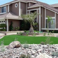 Synthetic Turf Hermosa Beach, California Landscape Ideas, Front Yard Ideas