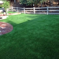 Synthetic Turf Supplier Garey, California Watch Dogs, Backyard Landscaping Ideas