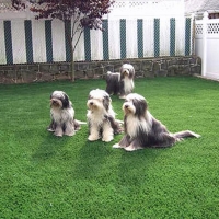 Synthetic Turf Supplier Westmont, California Landscape Rock, Backyard Landscaping Ideas