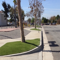 Turf Grass La Habra, California Landscaping Business, Commercial Landscape