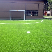 Turf Grass La Puente, California City Landscape