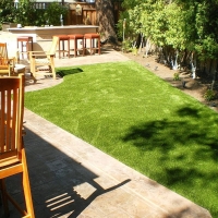 Turf Grass Pasadena, California Pictures Of Dogs, Backyard Ideas