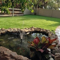 Turf Grass San Antonio Heights, California Lawn And Landscape, Backyard Landscaping Ideas