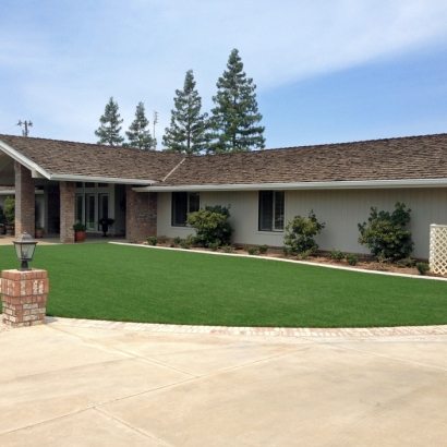 Artificial Grass Carpet Duarte, California City Landscape, Small Front Yard Landscaping