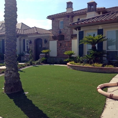 Artificial Grass Carpet Ford City, California Backyard Playground, Small Front Yard Landscaping