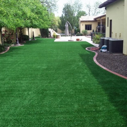 Artificial Grass Carpet Santa Monica, California Gardeners, Backyard Garden Ideas