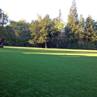 Artificial Grass Installation Stallion Springs, California Rooftop, Recreational Areas