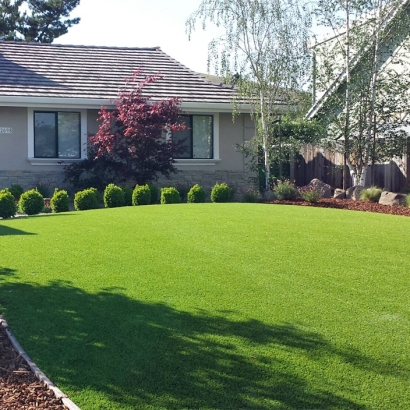 Artificial Turf Hawaiian Gardens, California Backyard Playground, Front Yard Landscaping