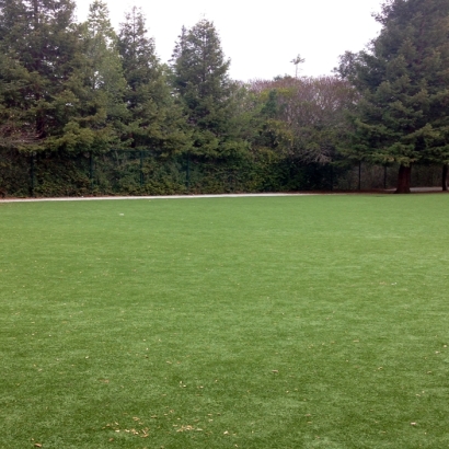 Artificial Turf Installation Ducor, California Landscape Design, Recreational Areas