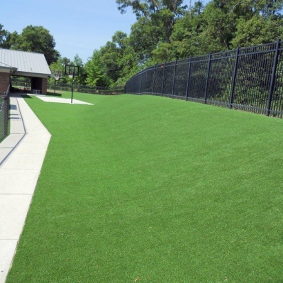 Best Artificial Grass Baldwin Park, California Landscape Design, Commercial Landscape