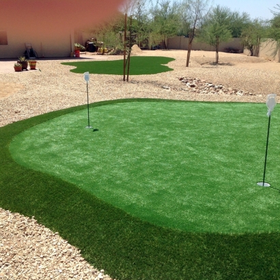 Fake Grass Carpet North Hollywood, California Putting Greens, Backyard Landscaping