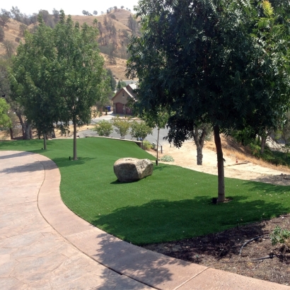 Fake Grass Carpet Whittier, California Lawn And Garden, Landscaping Ideas For Front Yard