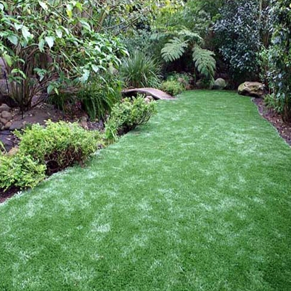 Fake Grass Creston, California Garden Ideas, Backyard Ideas