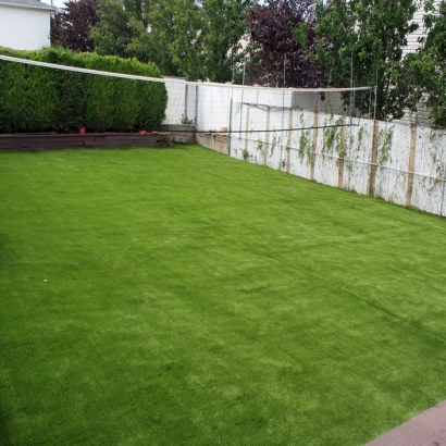 Fake Grass Placentia, California Landscaping Business, Beautiful Backyards