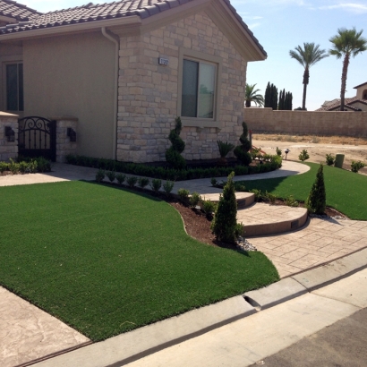 Fake Lawn Paramount, California Lawn And Landscape, Small Front Yard Landscaping