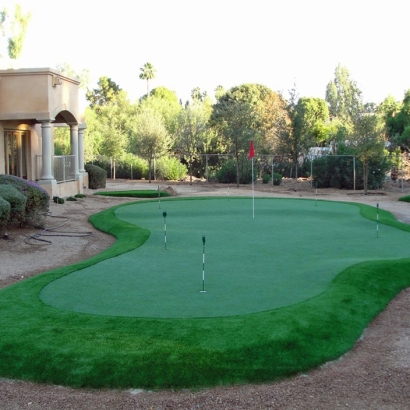 Fake Turf Nipomo, California Putting Green Flags, Backyard Landscaping