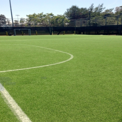 Faux Grass Mettler, California Sports Turf