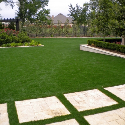 Faux Grass Westwood, California Lawns, Backyard Designs