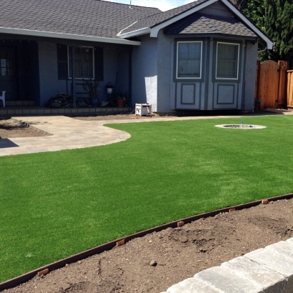 Grass Carpet Pico Rivera, California Design Ideas, Front Yard Ideas